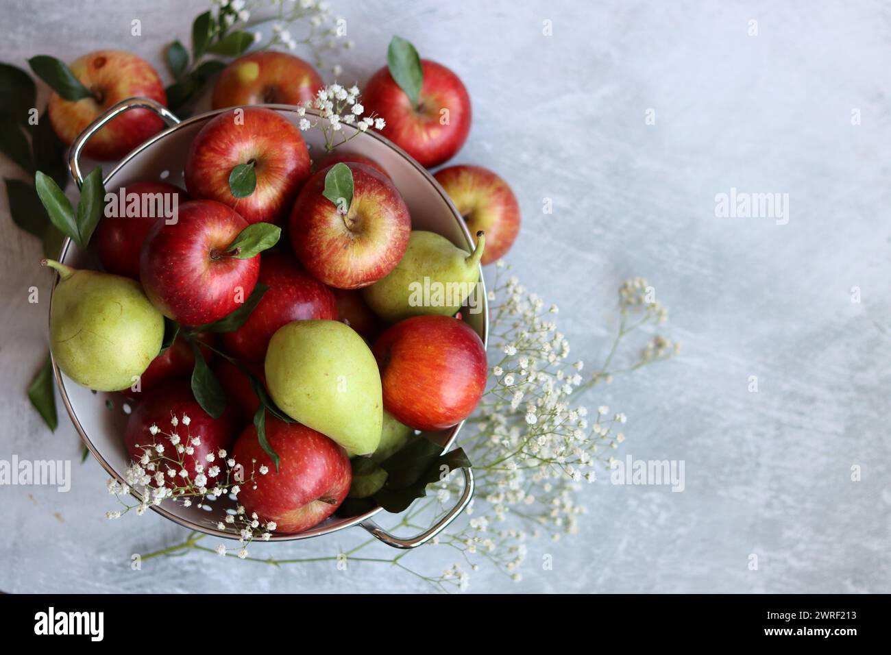 Glänzende rote Äpfel in weißem Sieb. Nahaufnahme von Bio-Früchten auf einem Tisch. Leuchtende Farben von saisonalem Obst. Fresh-Konzept. Hellgraues Ba Stockfoto