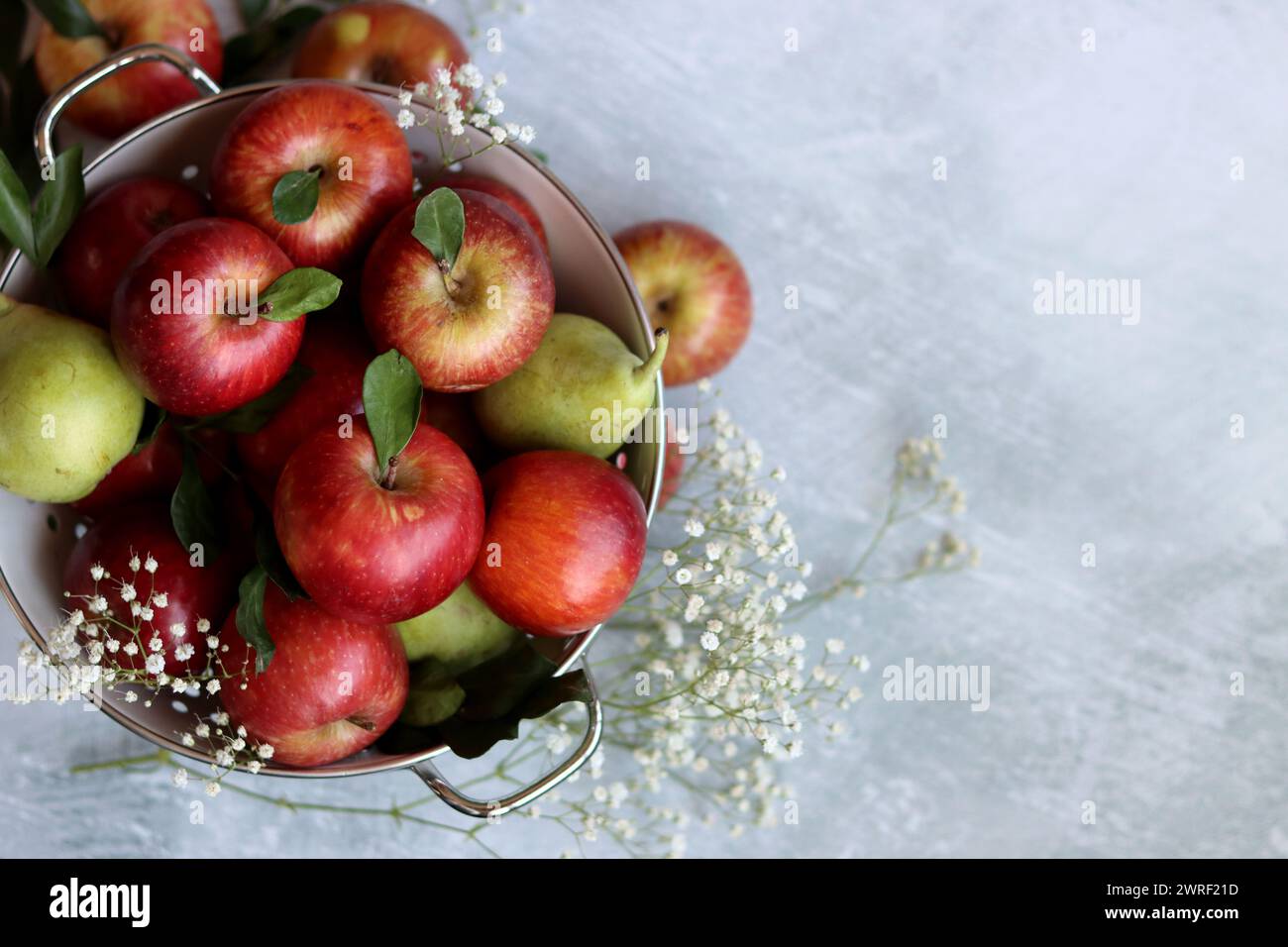 Glänzende rote Äpfel in weißem Sieb. Nahaufnahme von Bio-Früchten auf einem Tisch. Leuchtende Farben von saisonalem Obst. Fresh-Konzept. Hellgraues Ba Stockfoto