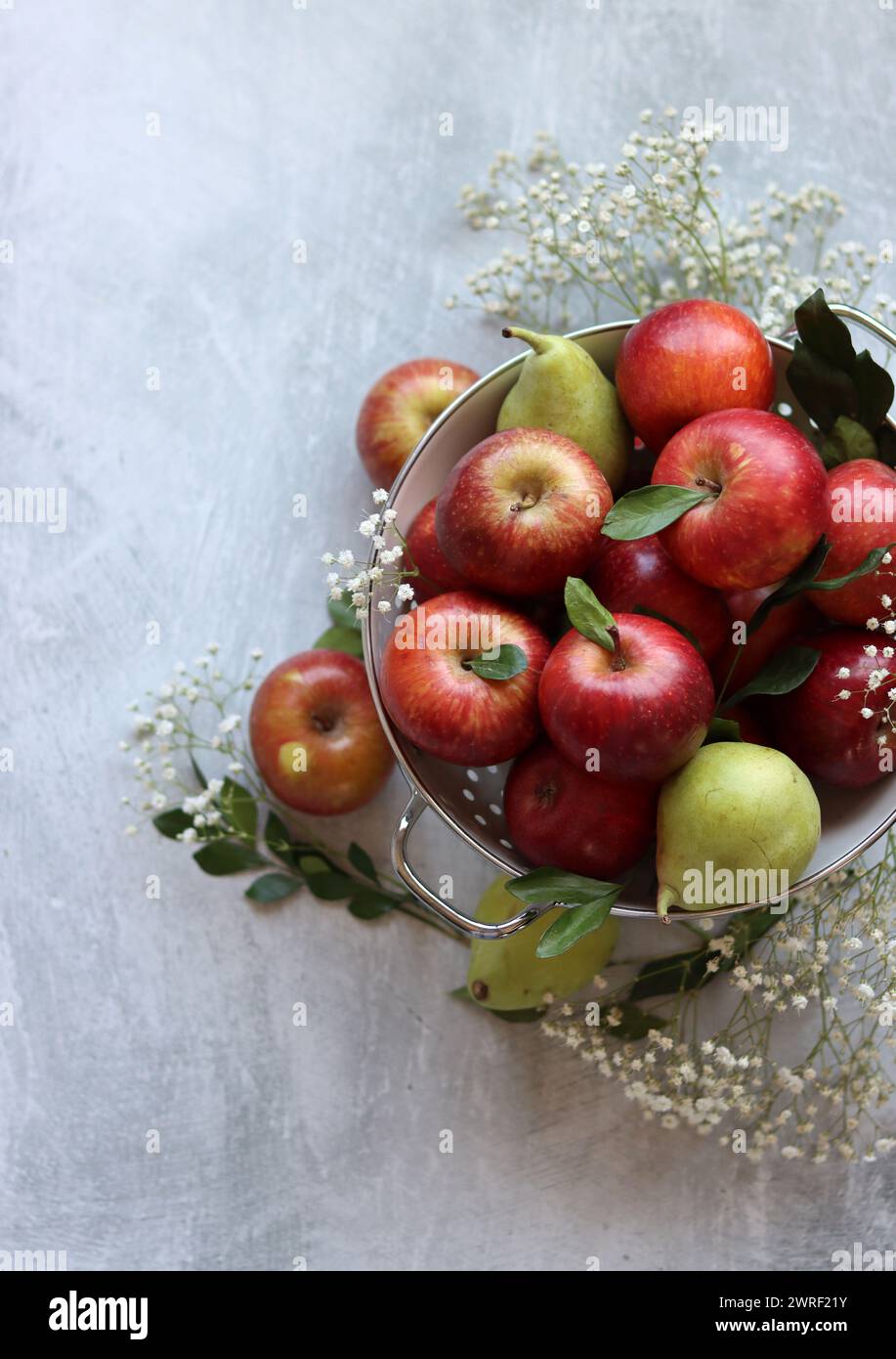 Glänzende rote Äpfel in weißem Sieb. Nahaufnahme von Bio-Früchten auf einem Tisch. Leuchtende Farben von saisonalem Obst. Fresh-Konzept. Hellgraues Ba Stockfoto