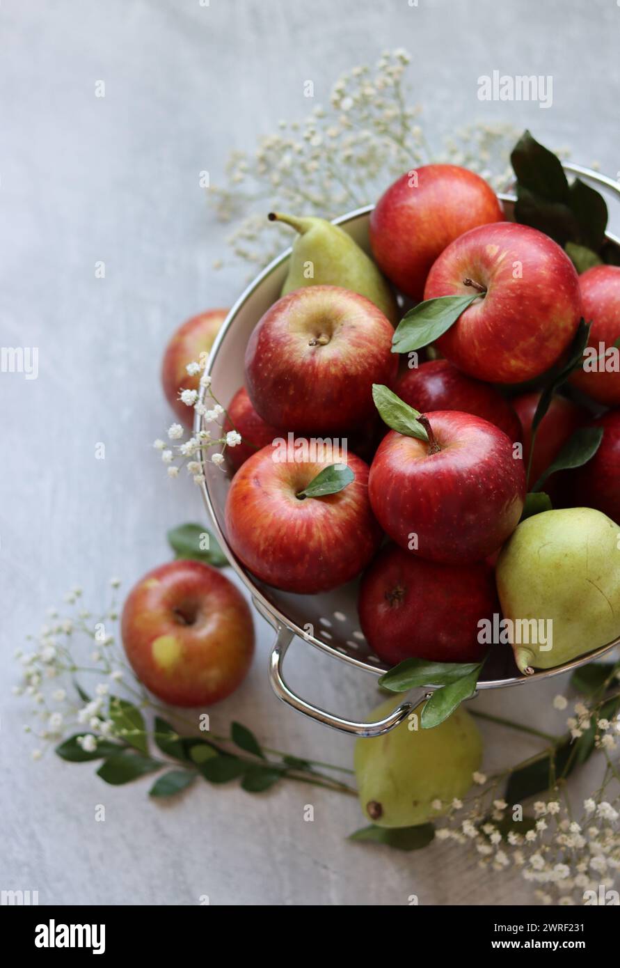 Glänzende rote Äpfel in weißem Sieb. Nahaufnahme von Bio-Früchten auf einem Tisch. Leuchtende Farben von saisonalem Obst. Fresh-Konzept. Hellgraues Ba Stockfoto