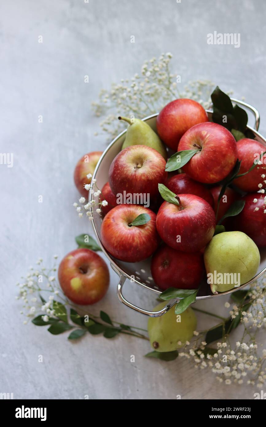 Glänzende rote Äpfel in weißem Sieb. Nahaufnahme von Bio-Früchten auf einem Tisch. Leuchtende Farben von saisonalem Obst. Fresh-Konzept. Hellgraues Ba Stockfoto