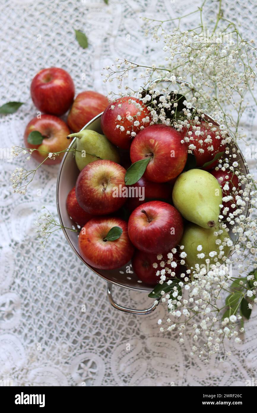 Glänzende rote Äpfel in weißem Sieb. Nahaufnahme von Bio-Früchten auf einem Tisch. Leuchtende Farben von saisonalem Obst. Fresh-Konzept. Hellgraues Ba Stockfoto