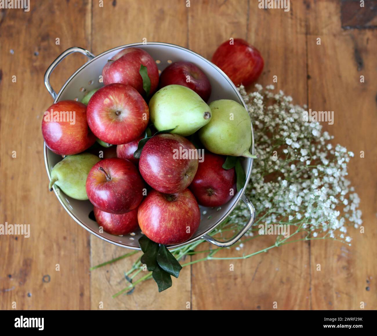 Glänzende rote Äpfel in weißem Sieb. Nahaufnahme von Bio-Früchten auf einem Tisch. Leuchtende Farben von saisonalem Obst. Fresh-Konzept. Hellgraues Ba Stockfoto