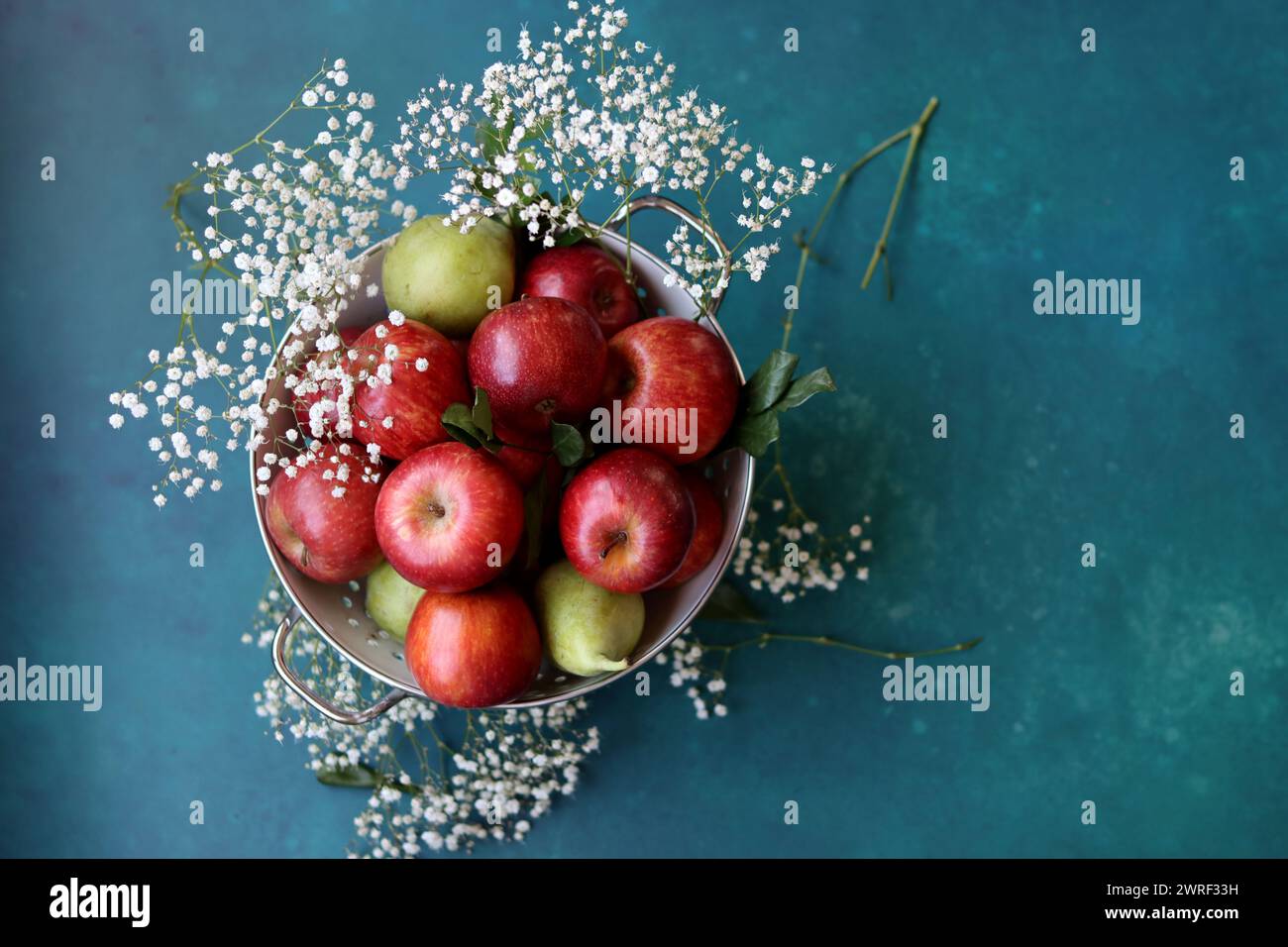 Weiße gypsophila-Blüten und glänzende rote Äpfel auf einem leuchtend blauen Hintergrund mit Kopierraum. Buntes Stillleben mit frischem Bio-Obst. Stockfoto