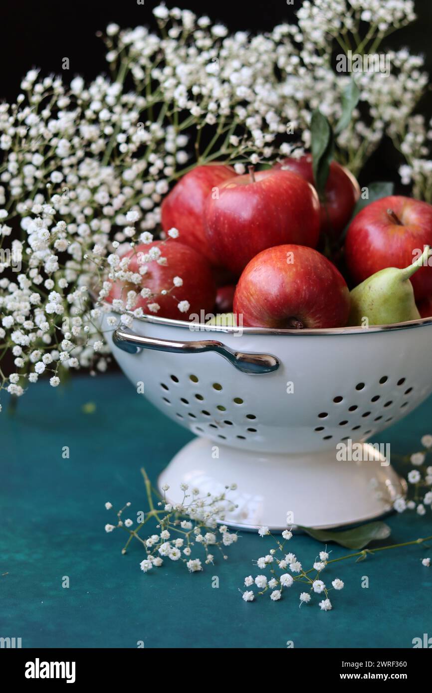 Weiße gypsophila-Blüten und glänzende rote Äpfel auf einem leuchtend blauen Hintergrund mit Kopierraum. Buntes Stillleben mit frischem Bio-Obst. Stockfoto