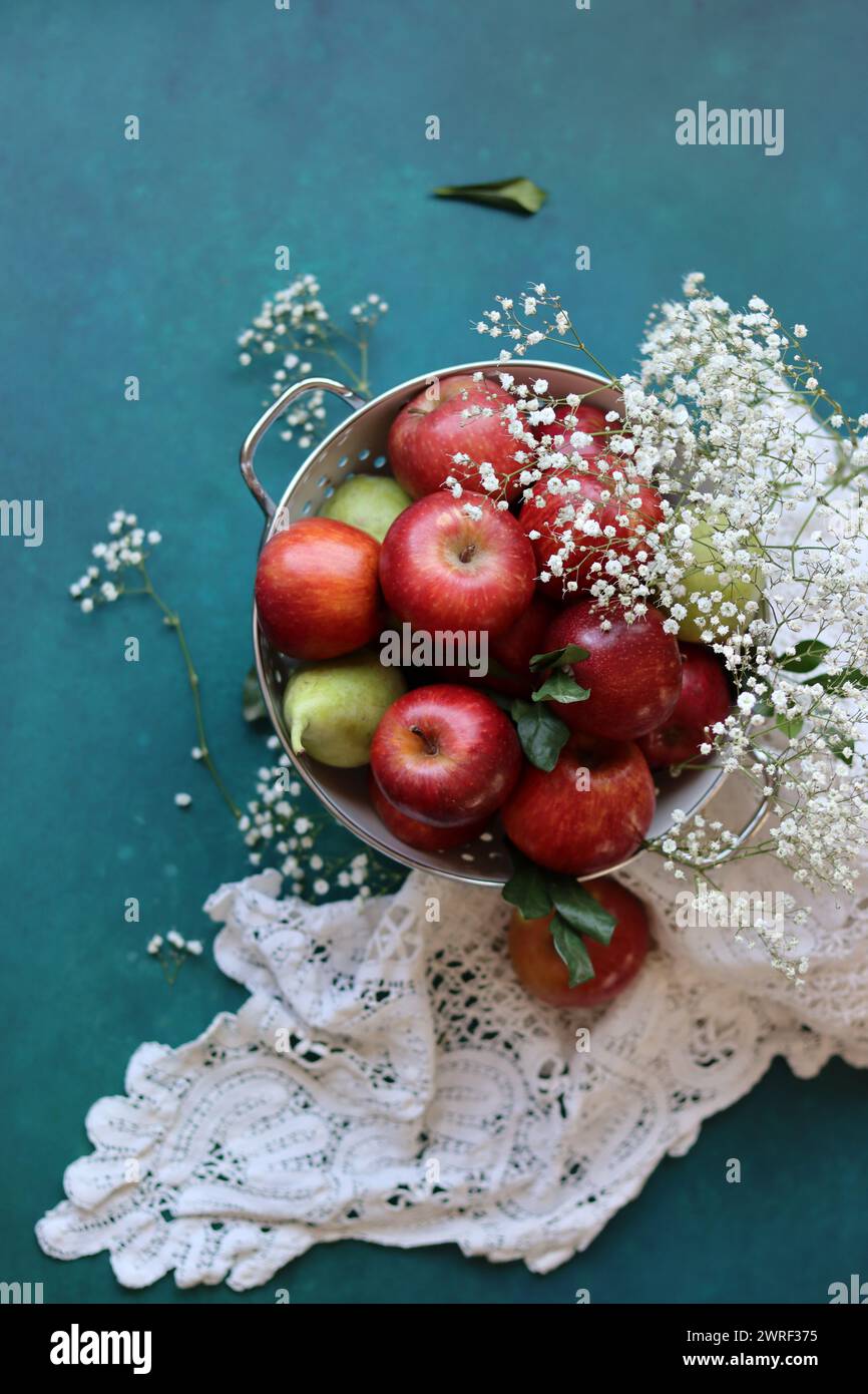Weiße gypsophila-Blüten und glänzende rote Äpfel auf einem leuchtend blauen Hintergrund mit Kopierraum. Buntes Stillleben mit frischem Bio-Obst. Stockfoto