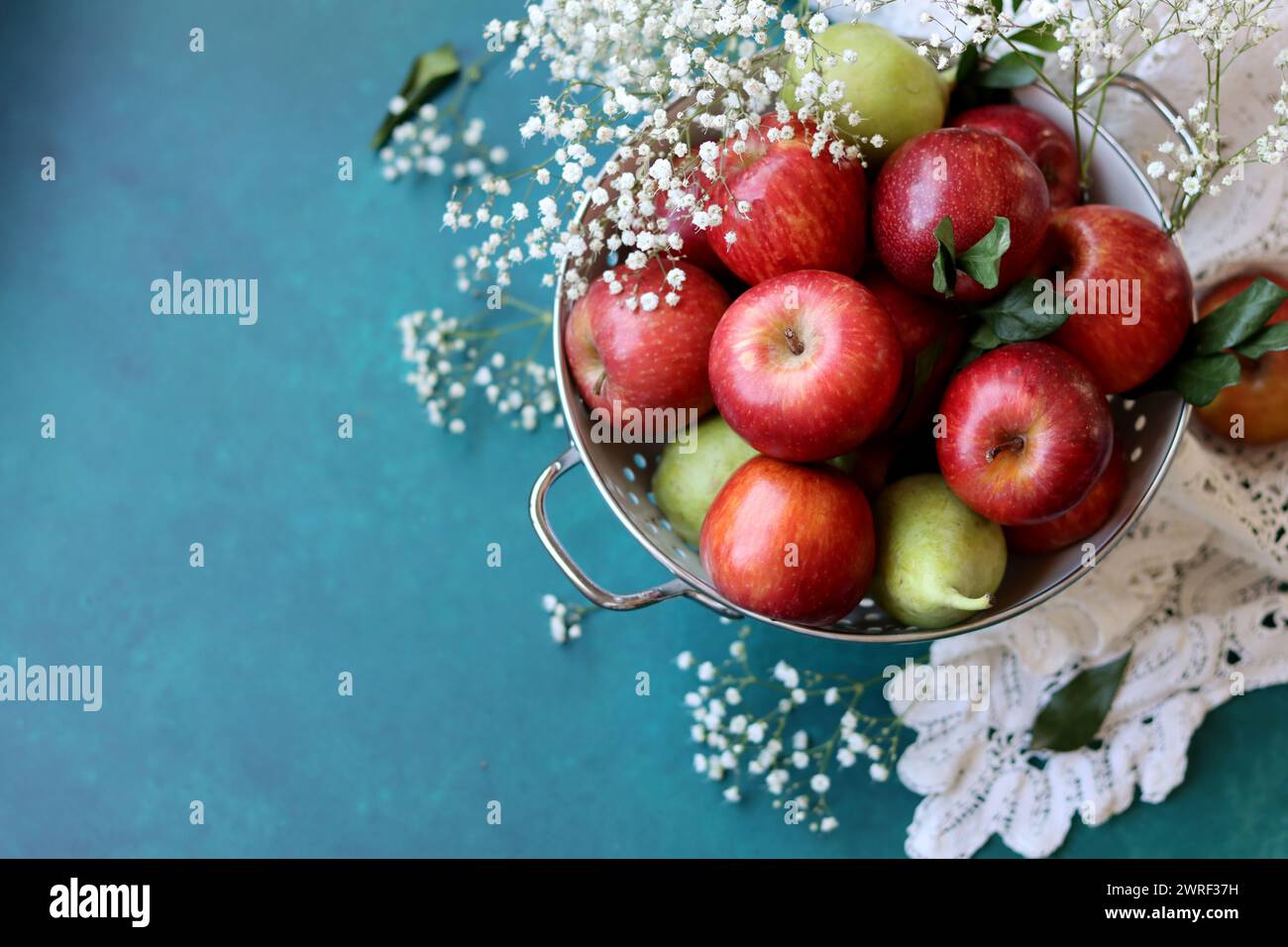 Weiße gypsophila-Blüten und glänzende rote Äpfel auf einem leuchtend blauen Hintergrund mit Kopierraum. Buntes Stillleben mit frischem Bio-Obst. Stockfoto