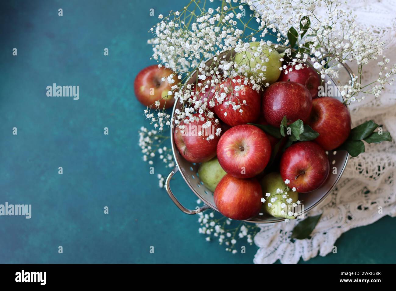 Weiße gypsophila-Blüten und glänzende rote Äpfel auf einem leuchtend blauen Hintergrund mit Kopierraum. Buntes Stillleben mit frischem Bio-Obst. Stockfoto