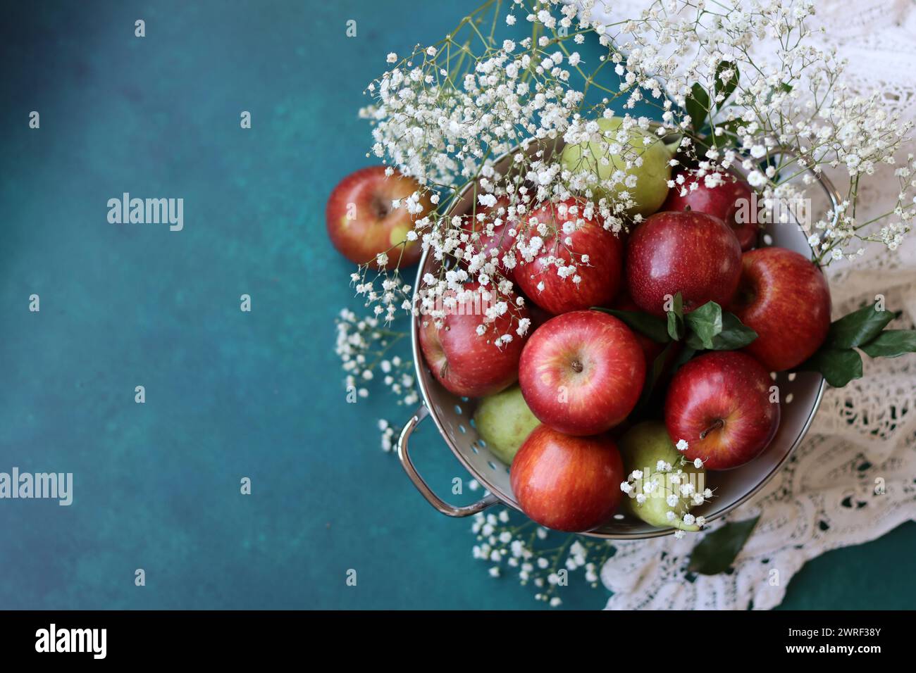 Weiße gypsophila-Blüten und glänzende rote Äpfel auf einem leuchtend blauen Hintergrund mit Kopierraum. Buntes Stillleben mit frischem Bio-Obst. Stockfoto