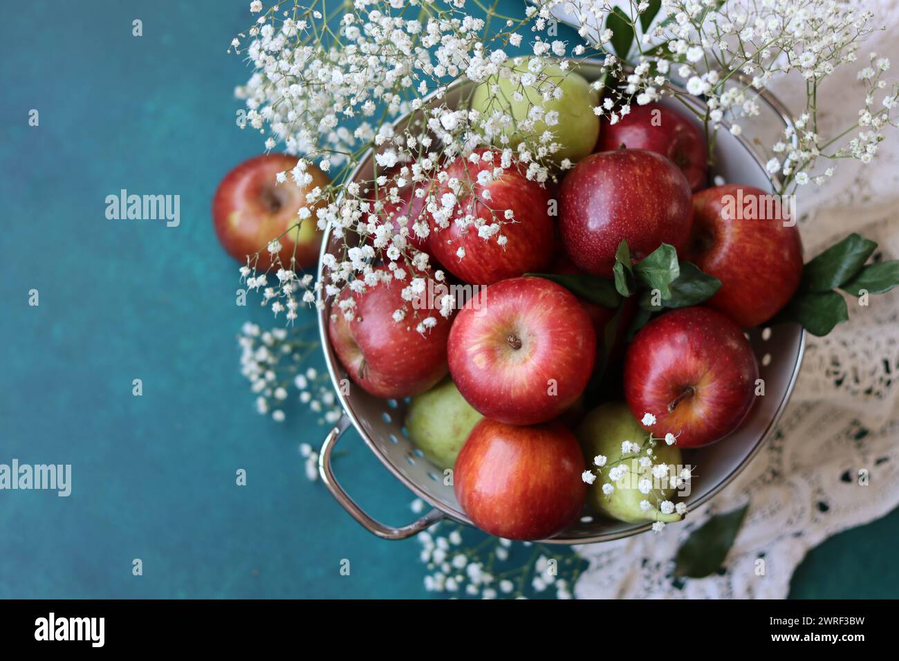 Weiße gypsophila-Blüten und glänzende rote Äpfel auf einem leuchtend blauen Hintergrund mit Kopierraum. Buntes Stillleben mit frischem Bio-Obst. Stockfoto