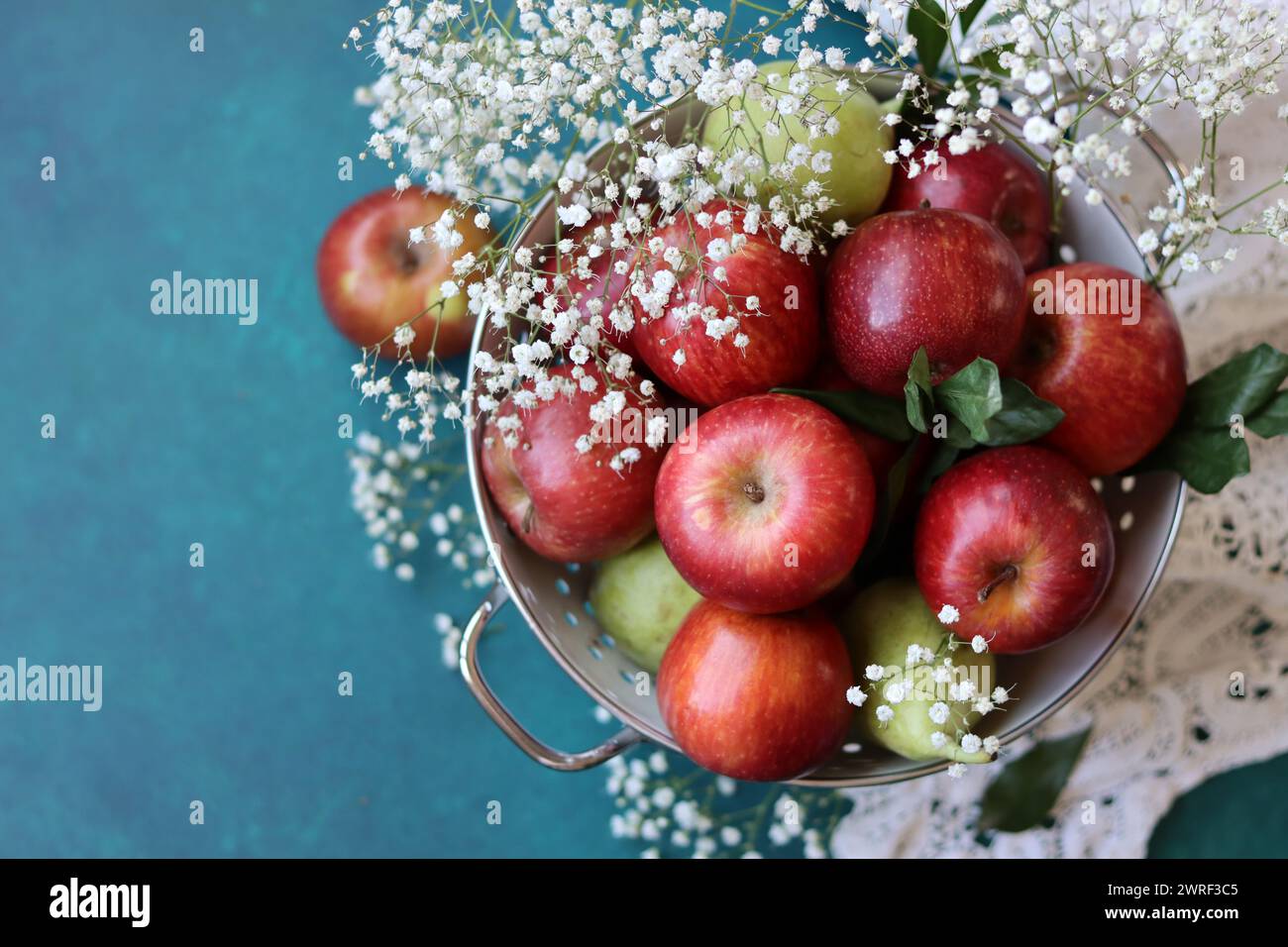 Weiße gypsophila-Blüten und glänzende rote Äpfel auf einem leuchtend blauen Hintergrund mit Kopierraum. Buntes Stillleben mit frischem Bio-Obst. Stockfoto