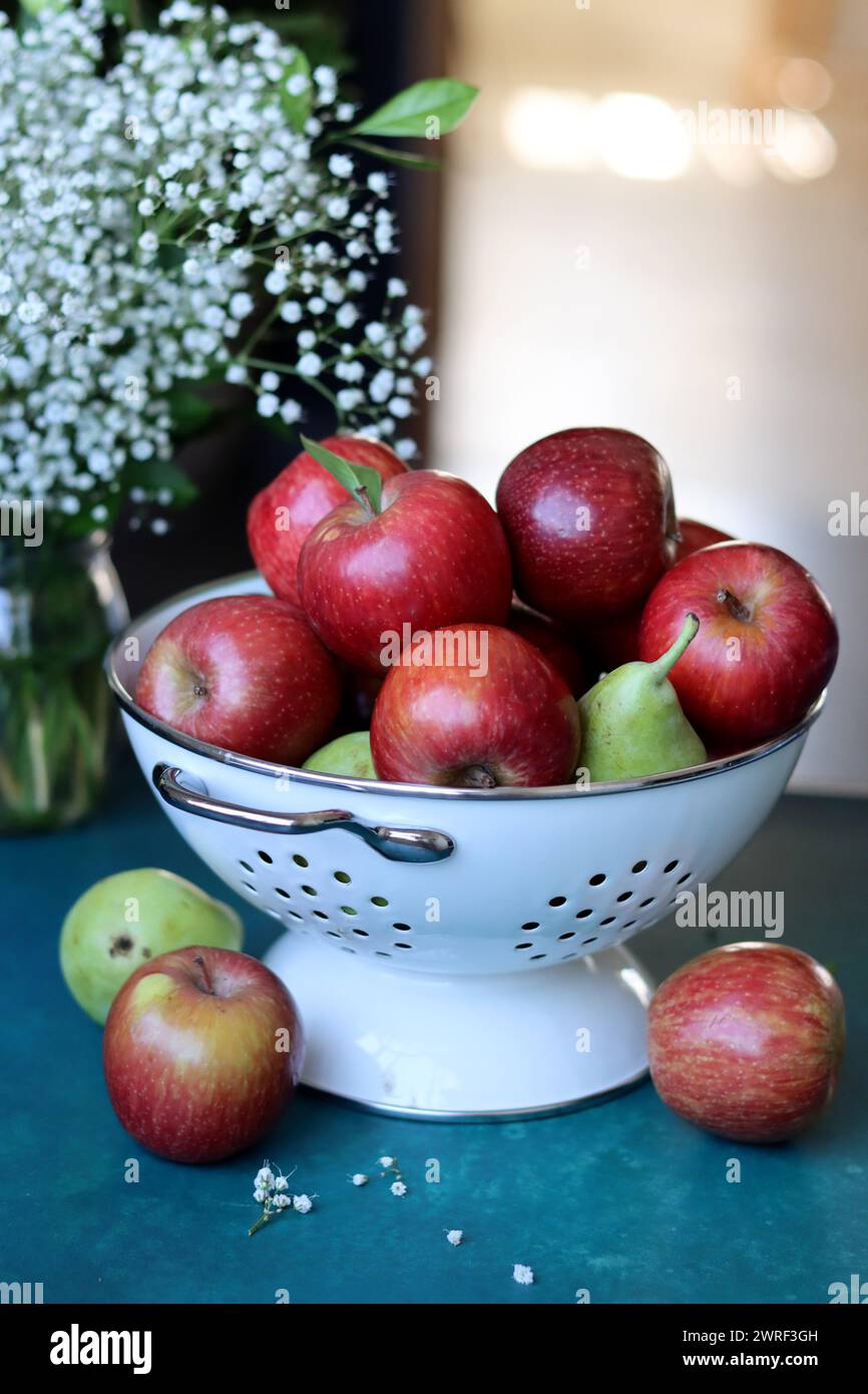Weiße gypsophila-Blüten und glänzende rote Äpfel auf einem leuchtend blauen Hintergrund mit Kopierraum. Buntes Stillleben mit frischem Bio-Obst. Stockfoto