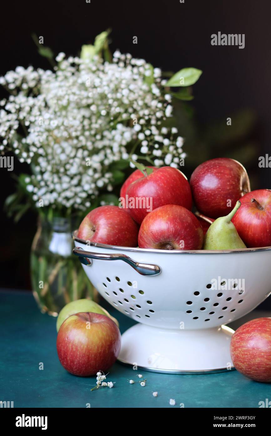 Weiße gypsophila-Blüten und glänzende rote Äpfel auf einem leuchtend blauen Hintergrund mit Kopierraum. Buntes Stillleben mit frischem Bio-Obst. Stockfoto