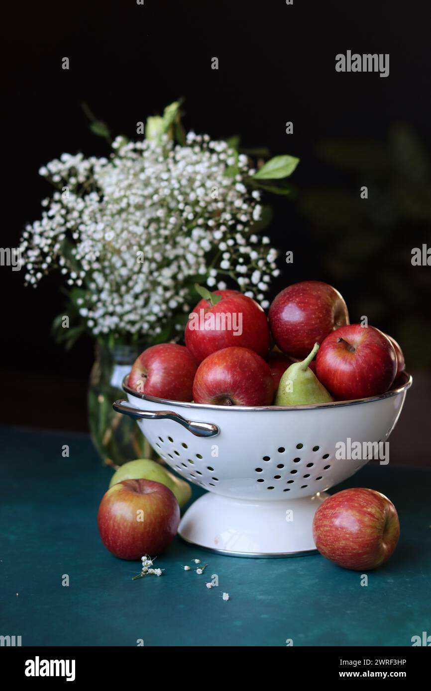 Weiße gypsophila-Blüten und glänzende rote Äpfel auf einem leuchtend blauen Hintergrund mit Kopierraum. Buntes Stillleben mit frischem Bio-Obst. Stockfoto