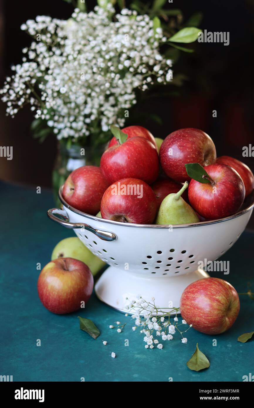 Weiße gypsophila-Blüten und glänzende rote Äpfel auf einem leuchtend blauen Hintergrund mit Kopierraum. Buntes Stillleben mit frischem Bio-Obst. Stockfoto
