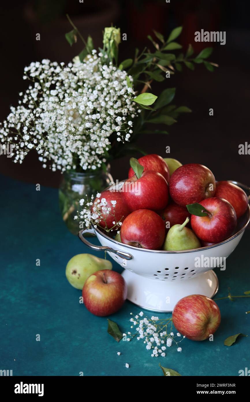 Weiße gypsophila-Blüten und glänzende rote Äpfel auf einem leuchtend blauen Hintergrund mit Kopierraum. Buntes Stillleben mit frischem Bio-Obst. Stockfoto