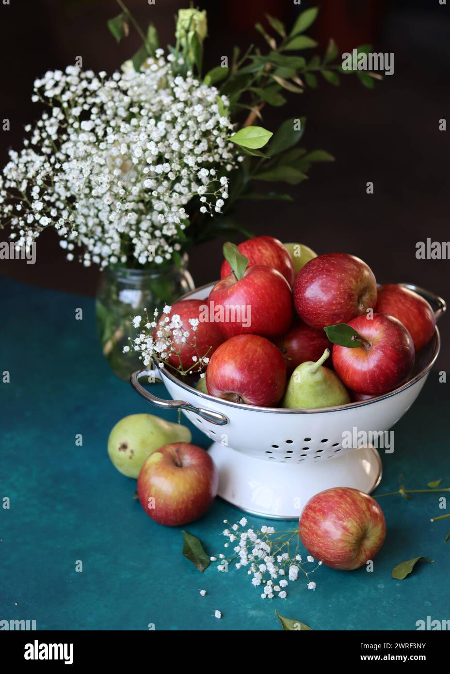 Weiße gypsophila-Blüten und glänzende rote Äpfel auf einem leuchtend blauen Hintergrund mit Kopierraum. Buntes Stillleben mit frischem Bio-Obst. Stockfoto