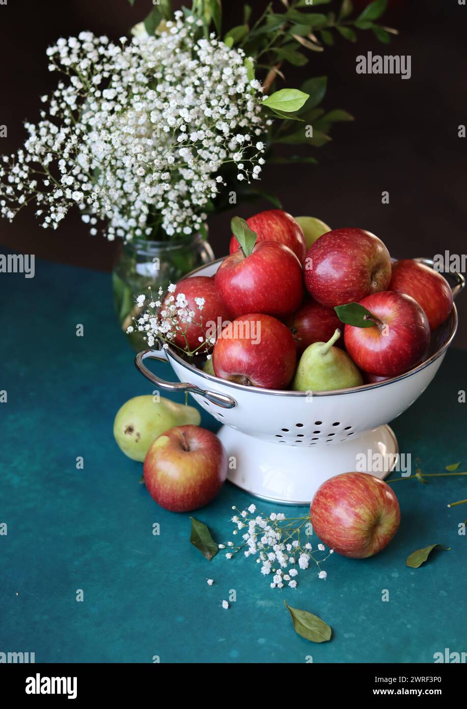 Weiße gypsophila-Blüten und glänzende rote Äpfel auf einem leuchtend blauen Hintergrund mit Kopierraum. Buntes Stillleben mit frischem Bio-Obst. Stockfoto