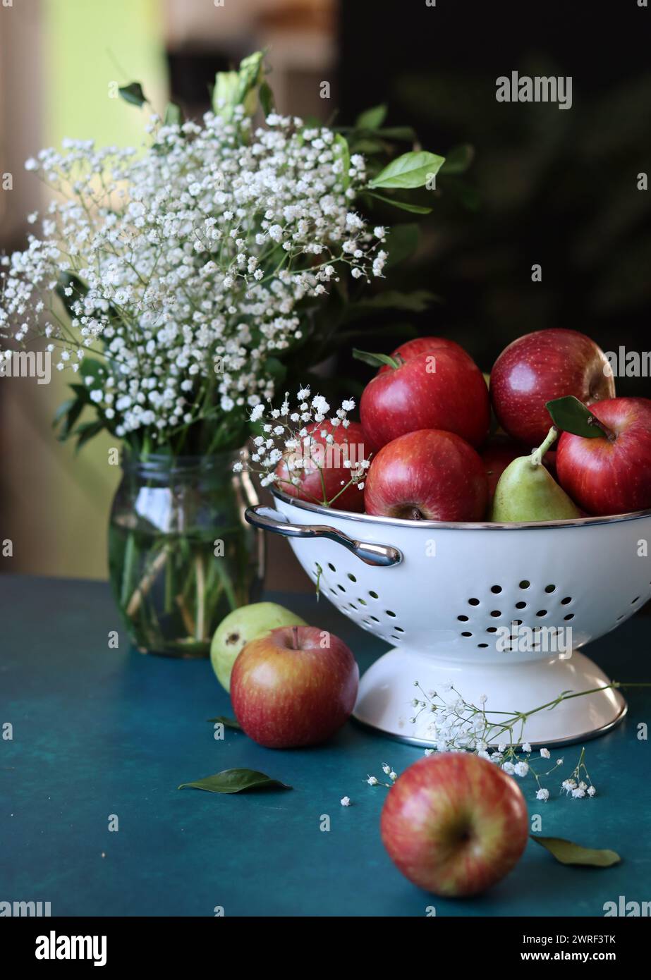 Weiße gypsophila-Blüten und glänzende rote Äpfel auf einem leuchtend blauen Hintergrund mit Kopierraum. Buntes Stillleben mit frischem Bio-Obst. Stockfoto