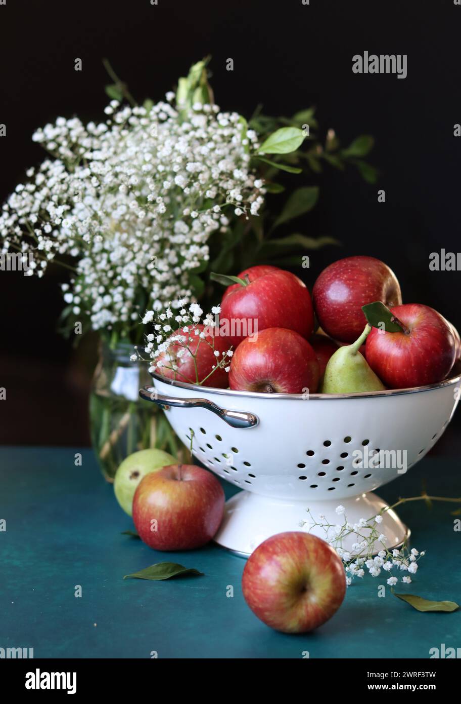 Weiße gypsophila-Blüten und glänzende rote Äpfel auf einem leuchtend blauen Hintergrund mit Kopierraum. Buntes Stillleben mit frischem Bio-Obst. Stockfoto