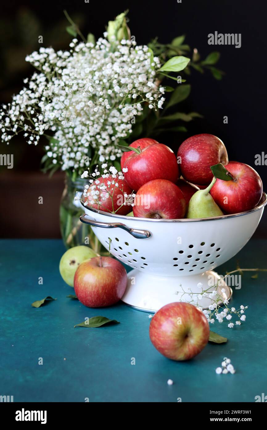 Weiße gypsophila-Blüten und glänzende rote Äpfel auf einem leuchtend blauen Hintergrund mit Kopierraum. Buntes Stillleben mit frischem Bio-Obst. Stockfoto
