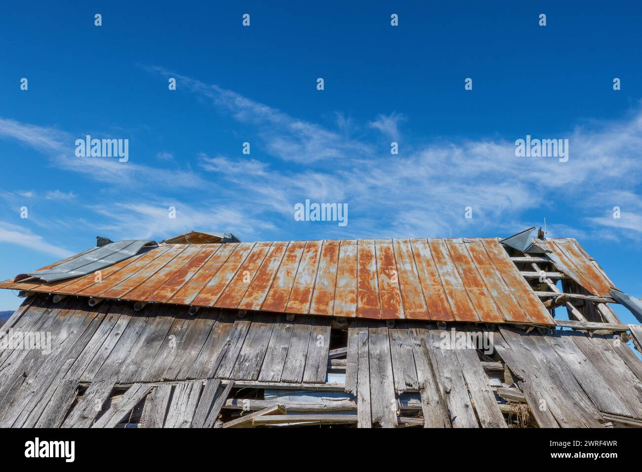 Fast in einer Nahaufnahme einer Seite einer verrotteten Scheune mit rostigem Dach im ländlichen Virginia gefallen. Stockfoto