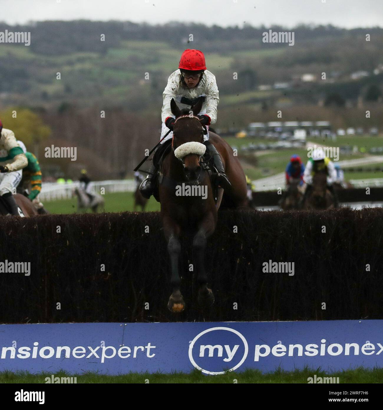 Chianti Classico mit David Bass an Bord gewinnt das Ultima Handicap Tureple Chase Rennen am 1. Tag des Cheltenham Festivals im Prestbury Park, Cheltenham, Großbritannien am 14. März 2023. Foto von Ken Sparks. Nur redaktionelle Verwendung, Lizenz für kommerzielle Nutzung erforderlich. Keine Verwendung bei Wetten, Spielen oder Publikationen eines einzelnen Clubs/einer Liga/eines Spielers. Quelle: UK Sports Pics Ltd/Alamy Live News Stockfoto