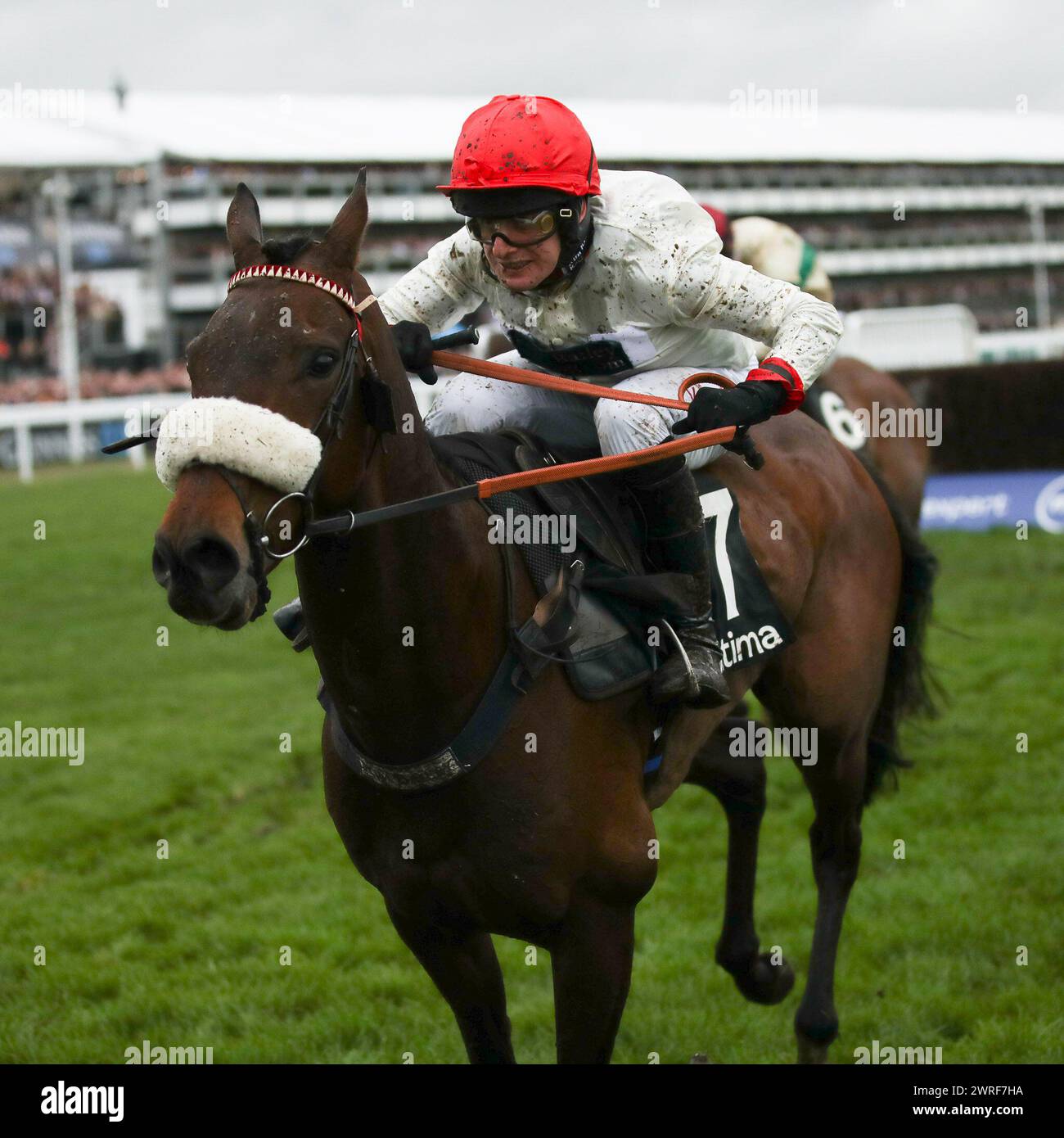 Chianti Classico mit David Bass an Bord gewinnt das Ultima Handicap Tureple Chase Rennen am 1. Tag des Cheltenham Festivals im Prestbury Park, Cheltenham, Großbritannien am 14. März 2023. Foto von Ken Sparks. Nur redaktionelle Verwendung, Lizenz für kommerzielle Nutzung erforderlich. Keine Verwendung bei Wetten, Spielen oder Publikationen eines einzelnen Clubs/einer Liga/eines Spielers. Quelle: UK Sports Pics Ltd/Alamy Live News Stockfoto