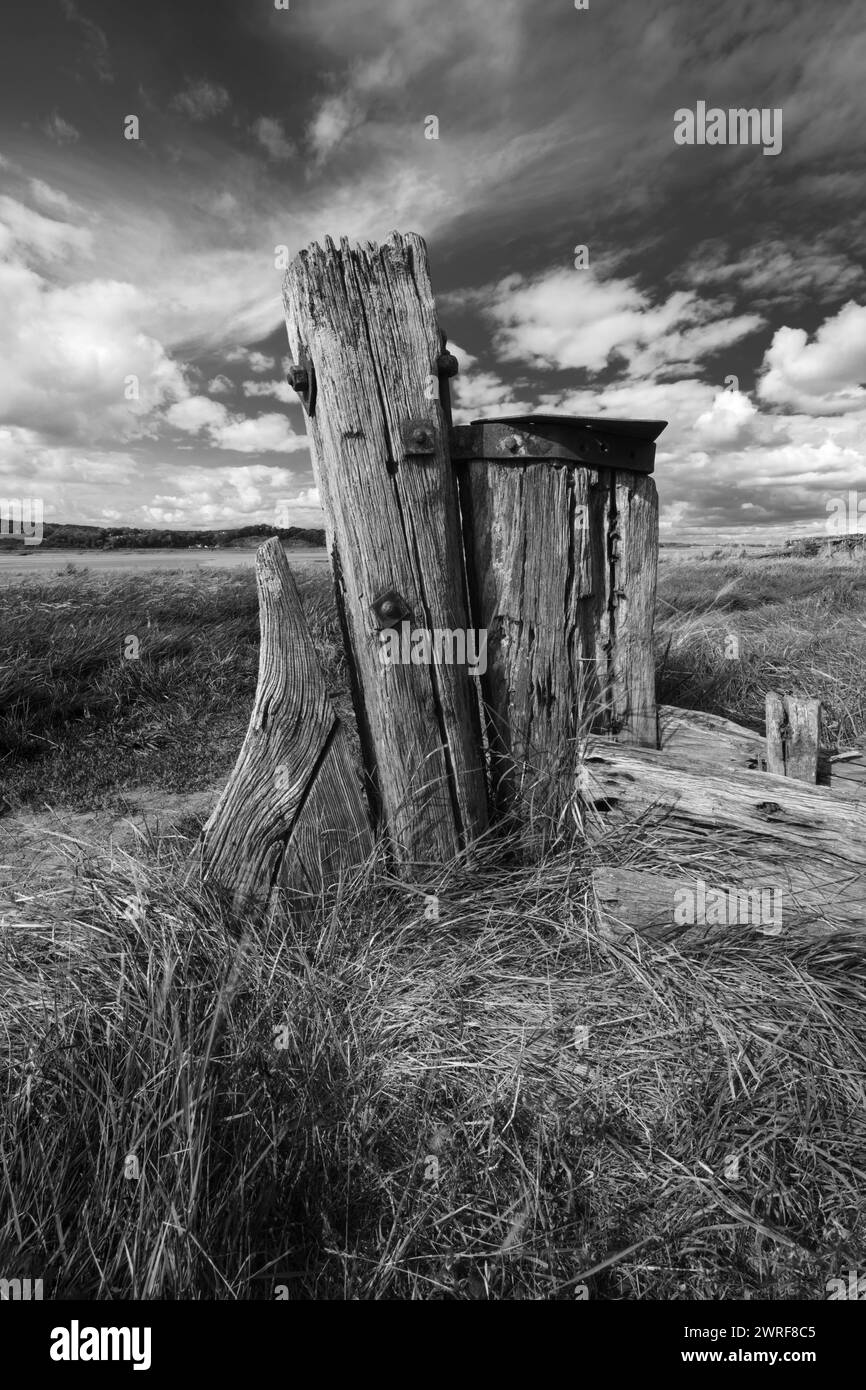 Purton Ship Friedhof am Ufer des Flusses Severn, Purton, Gloucestershire, England, Vereinigtes Königreich, Europa Stockfoto