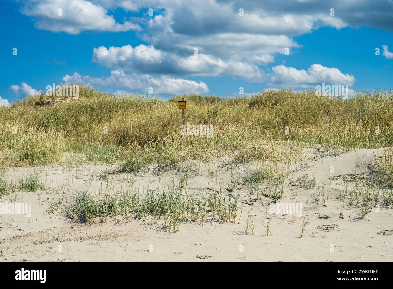 Schild in den Dünen von St. Peter-Ording. Dünenschutz ist Küstenschutz Betreten verboten Stockfoto