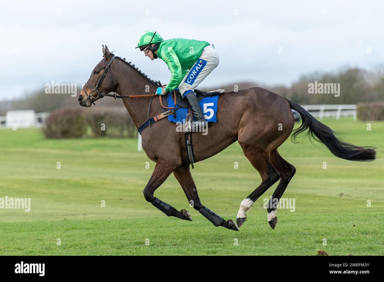 Viertes Rennen in Wincanton, 3. Februar 2022 Stockfoto