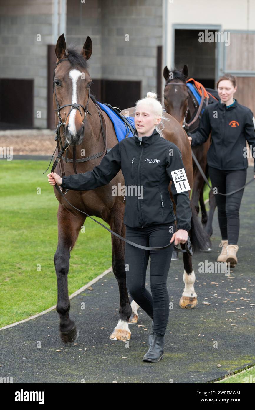 Fünfter Lauf in Wincanton, 3. Februar 2022: Die Novizen der Peckmoor Farm Lodges Stockfoto