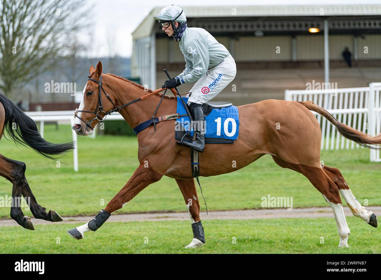 Fünfter Lauf in Wincanton, 3. Februar 2022: Die Novizen der Peckmoor Farm Lodges Stockfoto