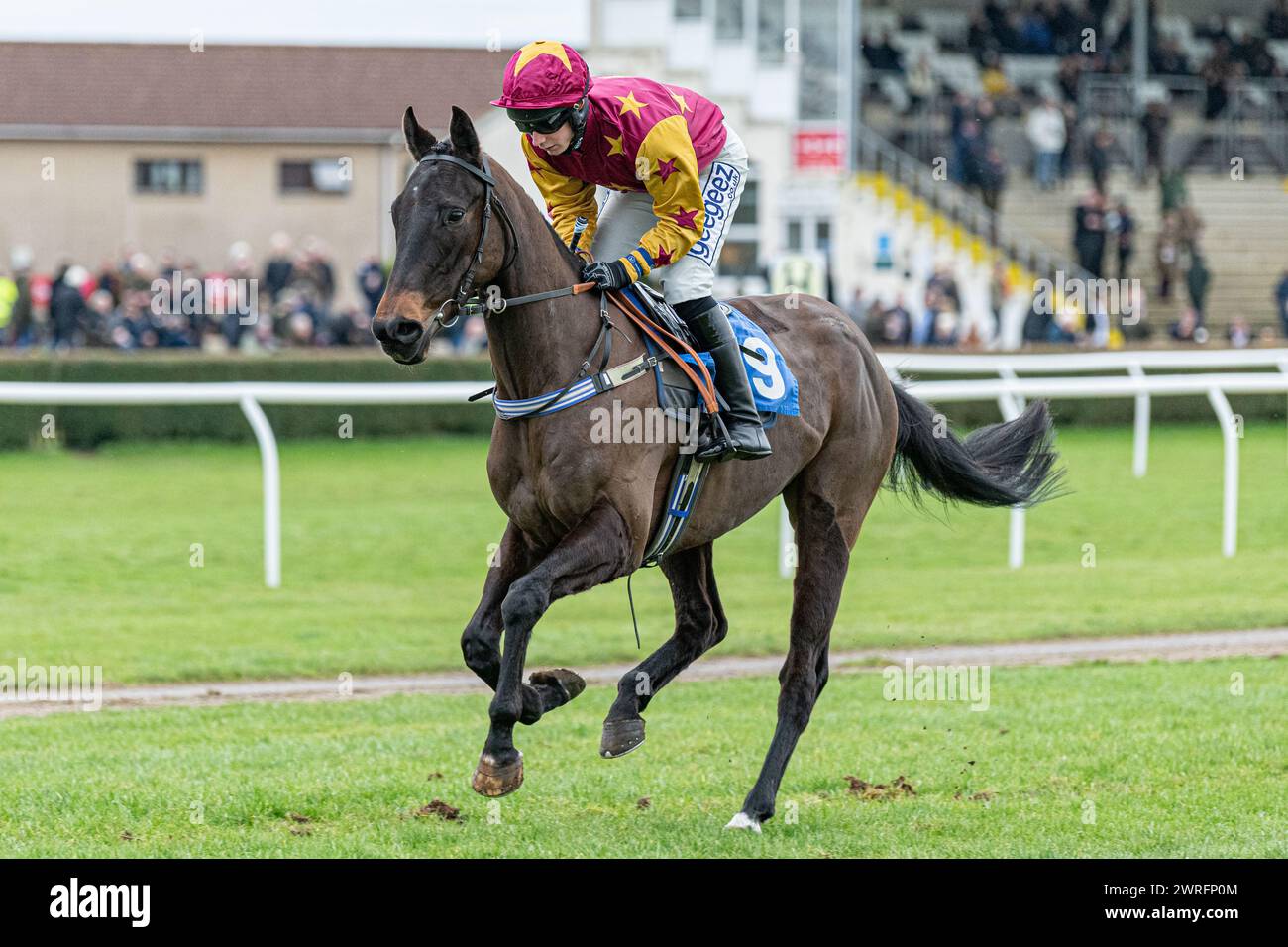 Fünfter Lauf in Wincanton, 3. Februar 2022: Die Novizen der Peckmoor Farm Lodges Stockfoto