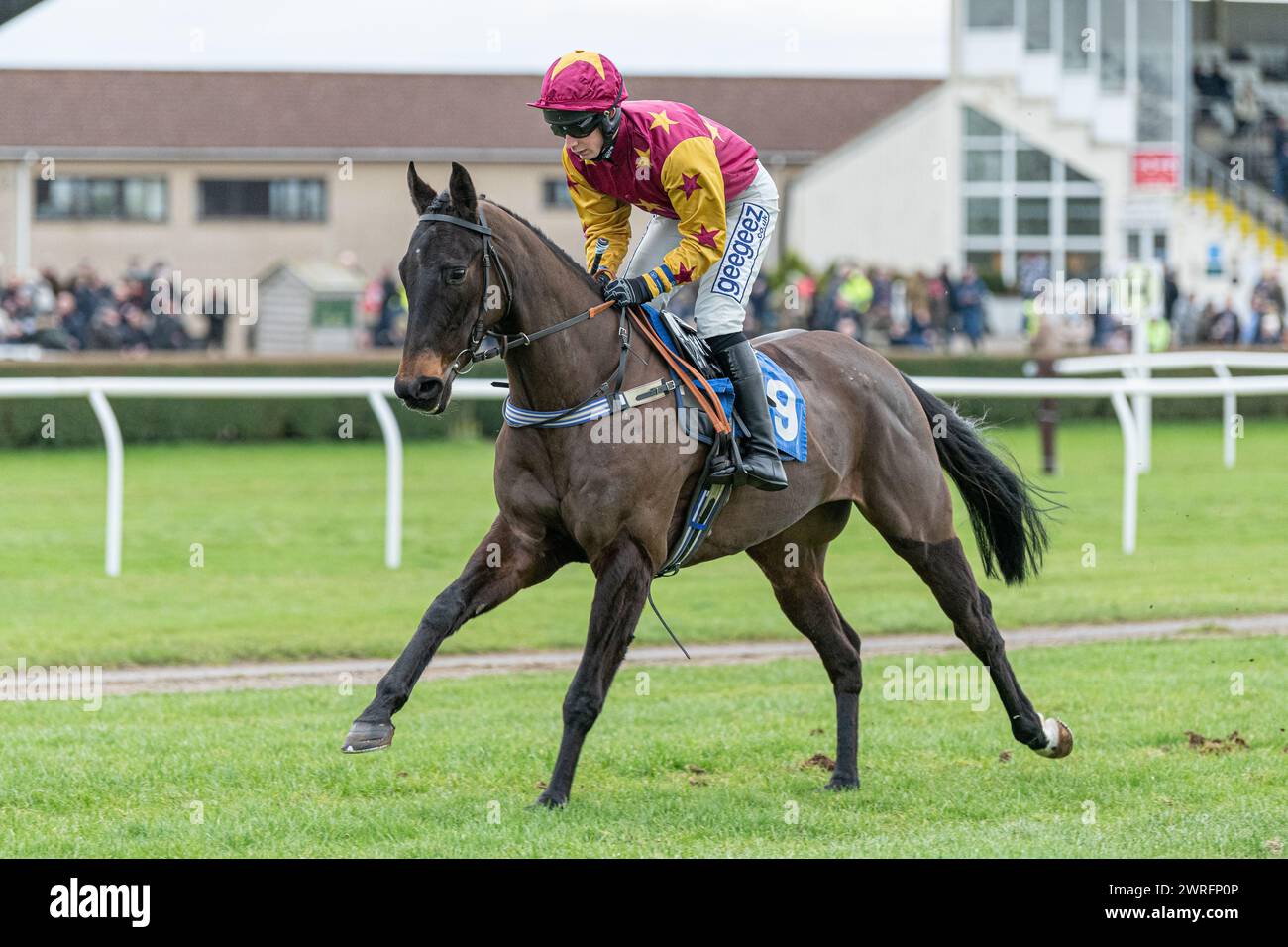 Fünfter Lauf in Wincanton, 3. Februar 2022: Die Novizen der Peckmoor Farm Lodges Stockfoto