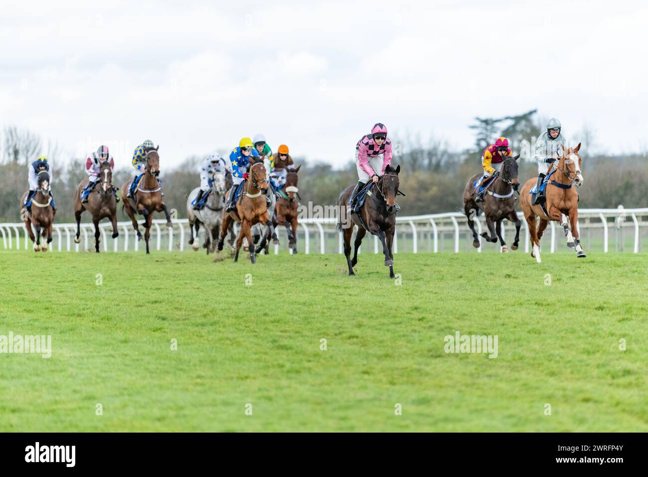 Fünfter Lauf in Wincanton, 3. Februar 2022: Die Novizen der Peckmoor Farm Lodges Stockfoto