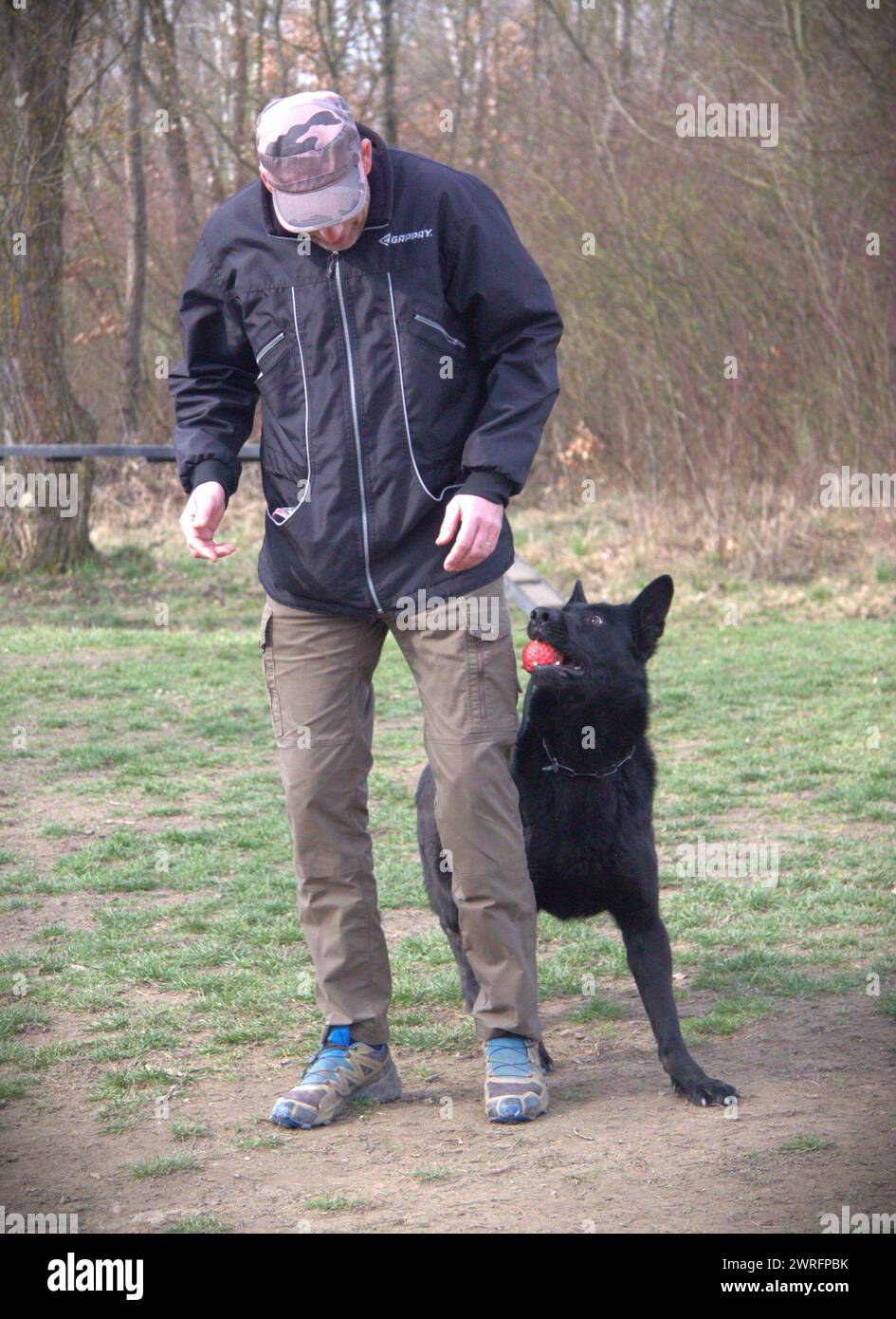 Deutscher Schäferhund mit seinem Besitzer während eines Gehorsamstrainings Stockfoto