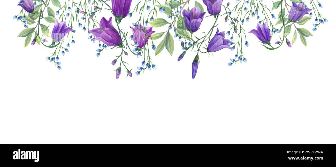 Hareglocken und abstrakte blaue Blumen. Banner mit Kopierraum für Text. Wilde Wiesenpflanzen. Aquarellillustration von Wildblumen. Sommerkräuter Stockfoto