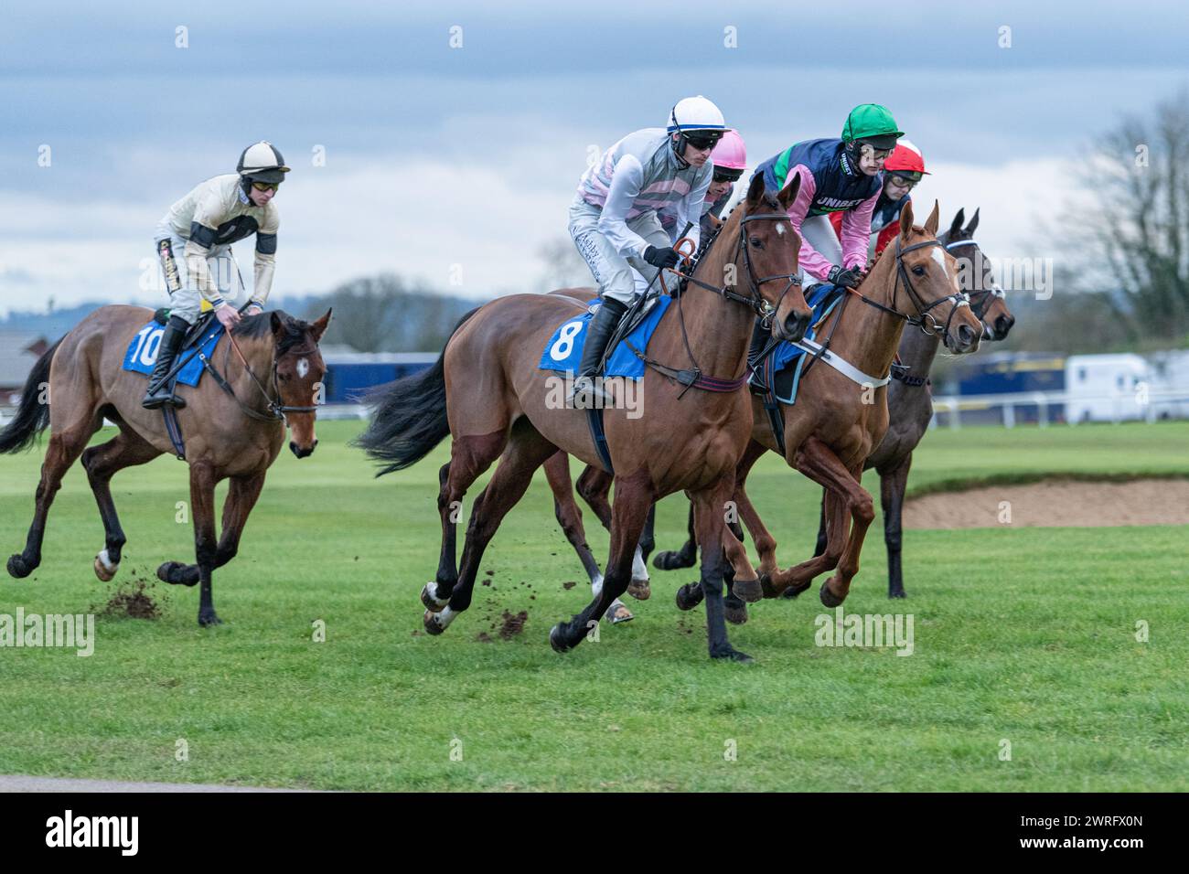 Mares' Open National Hunt Flat Rennen in Wincanton, 3. Februar 2022 Stockfoto