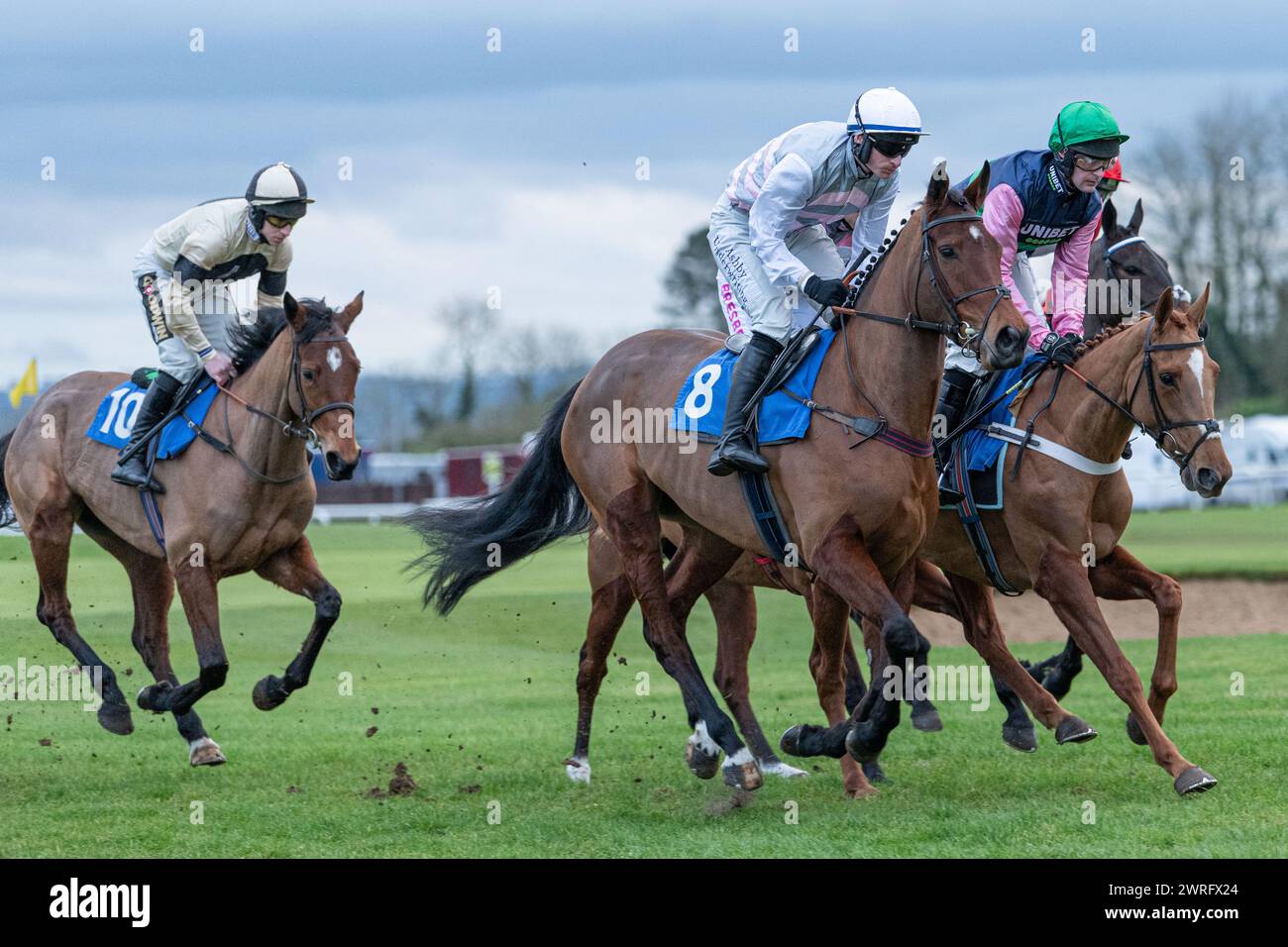 Mares' Open National Hunt Flat Rennen in Wincanton, 3. Februar 2022 Stockfoto