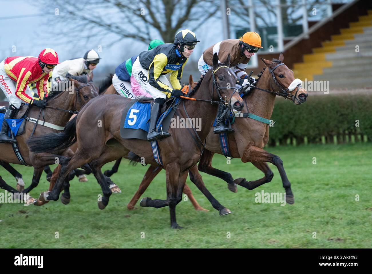 Mares' Open National Hunt Flat Rennen in Wincanton, 3. Februar 2022 Stockfoto