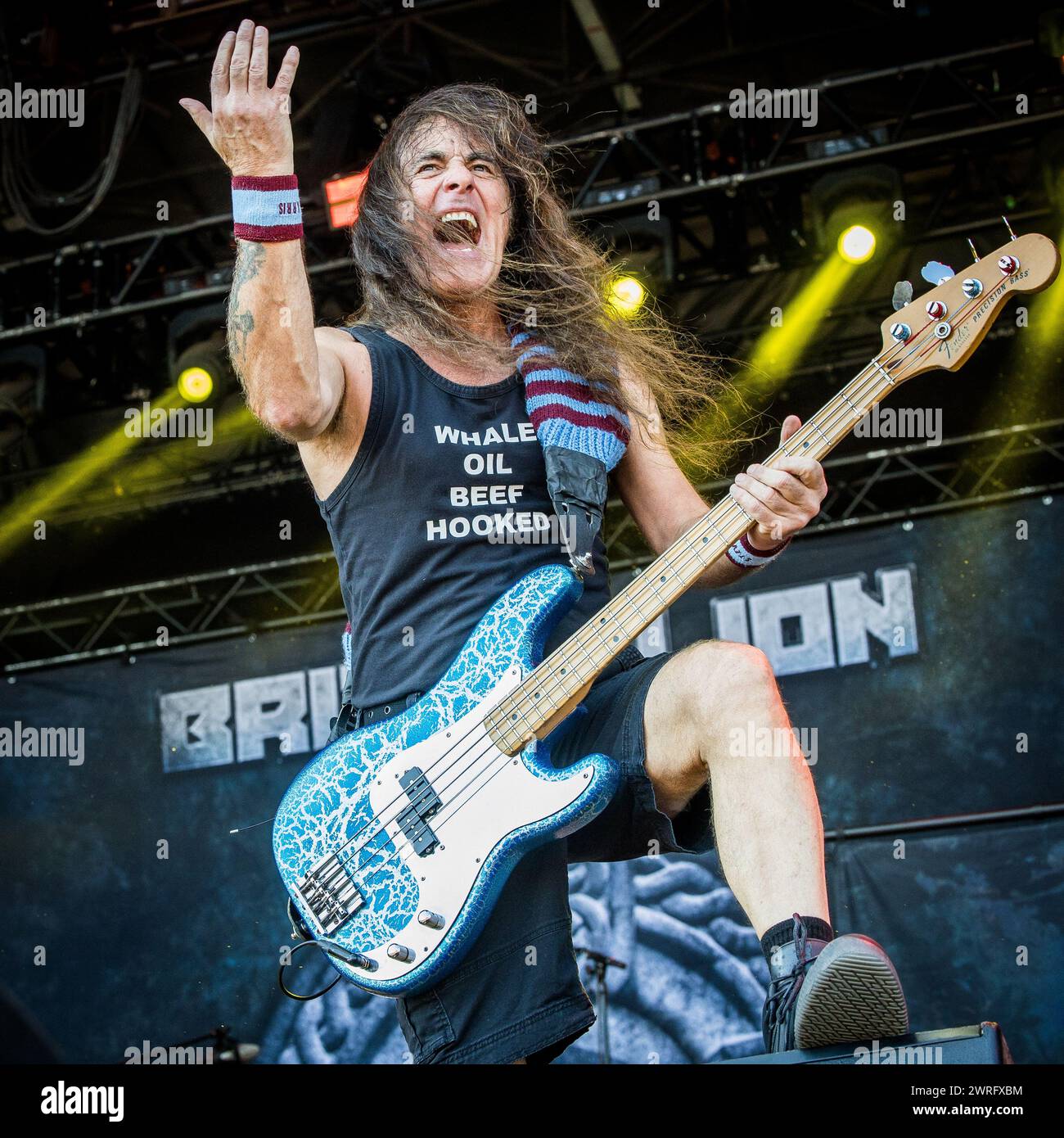 Steve Harris von Iron Maiden und British Lion Stockfoto