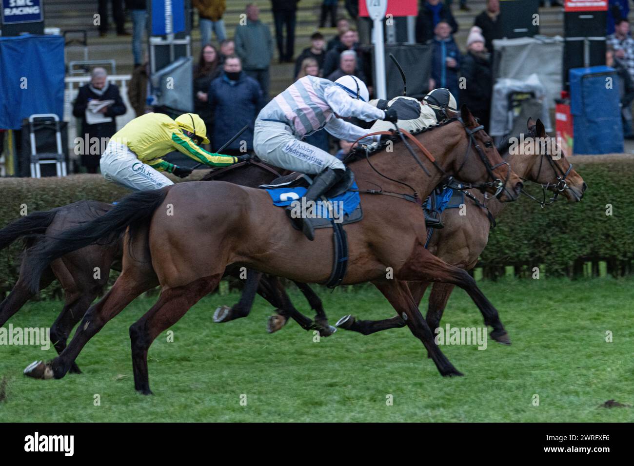 Mares' Open National Hunt Flat Rennen in Wincanton, 3. Februar 2022 Stockfoto