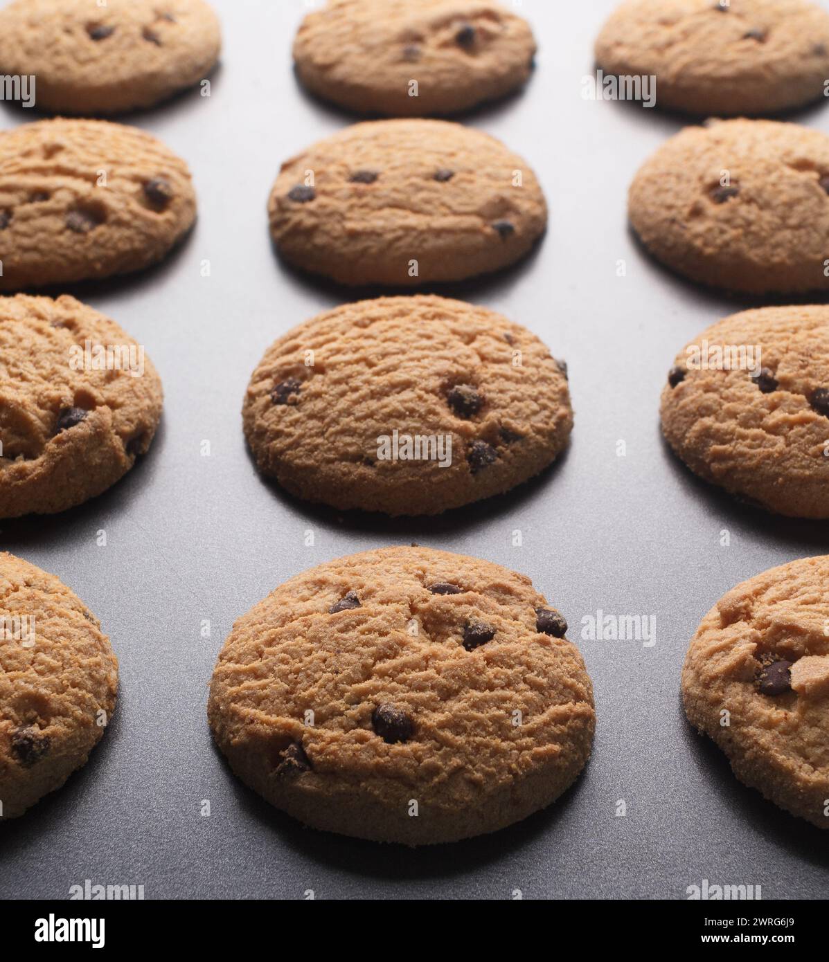 Mini-Schokoladen-Chip-Kekse auf Backblech Stockfoto