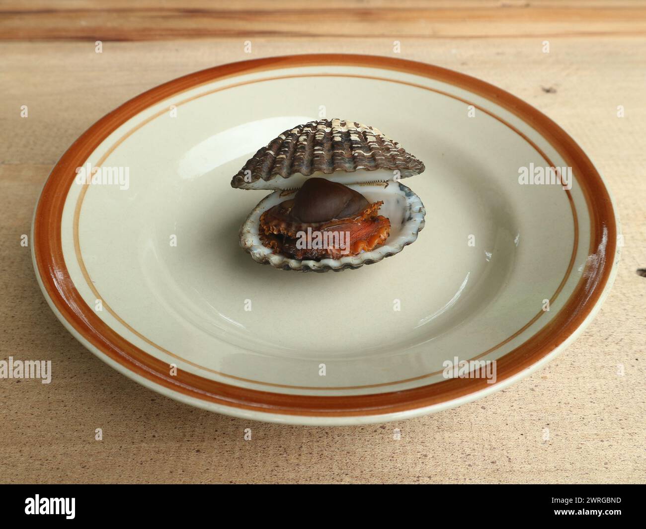 Gekochte Muscheln mit groben Muscheln, serviert auf einem Teller. Stockfoto