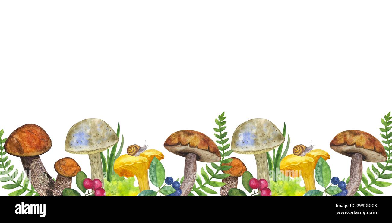 Botanisches Banner: Essbare Pilze, Blätter und Beeren, Farn, Schnecke, Gras, Preiselbeere, Eberesche. Handzeichnung Aquarellillustration isoliert auf Stockfoto