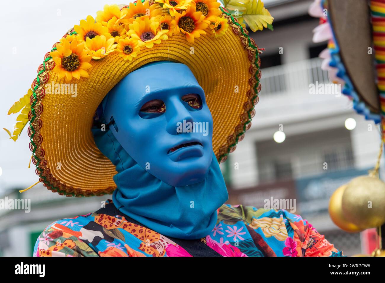 Maragogipe, Bahia, Brasilien - 11. Februar 2024: Während des Karnevals werden in der Stadt Maragogipe in Bahia Menschen in Kostümen gesehen. Stockfoto