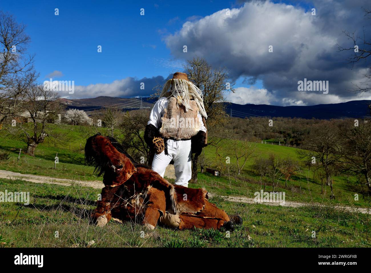 Masken von Carrizo de la Ribera (Leon) in Viana do Bolo, Ourense, Spanien Stockfoto