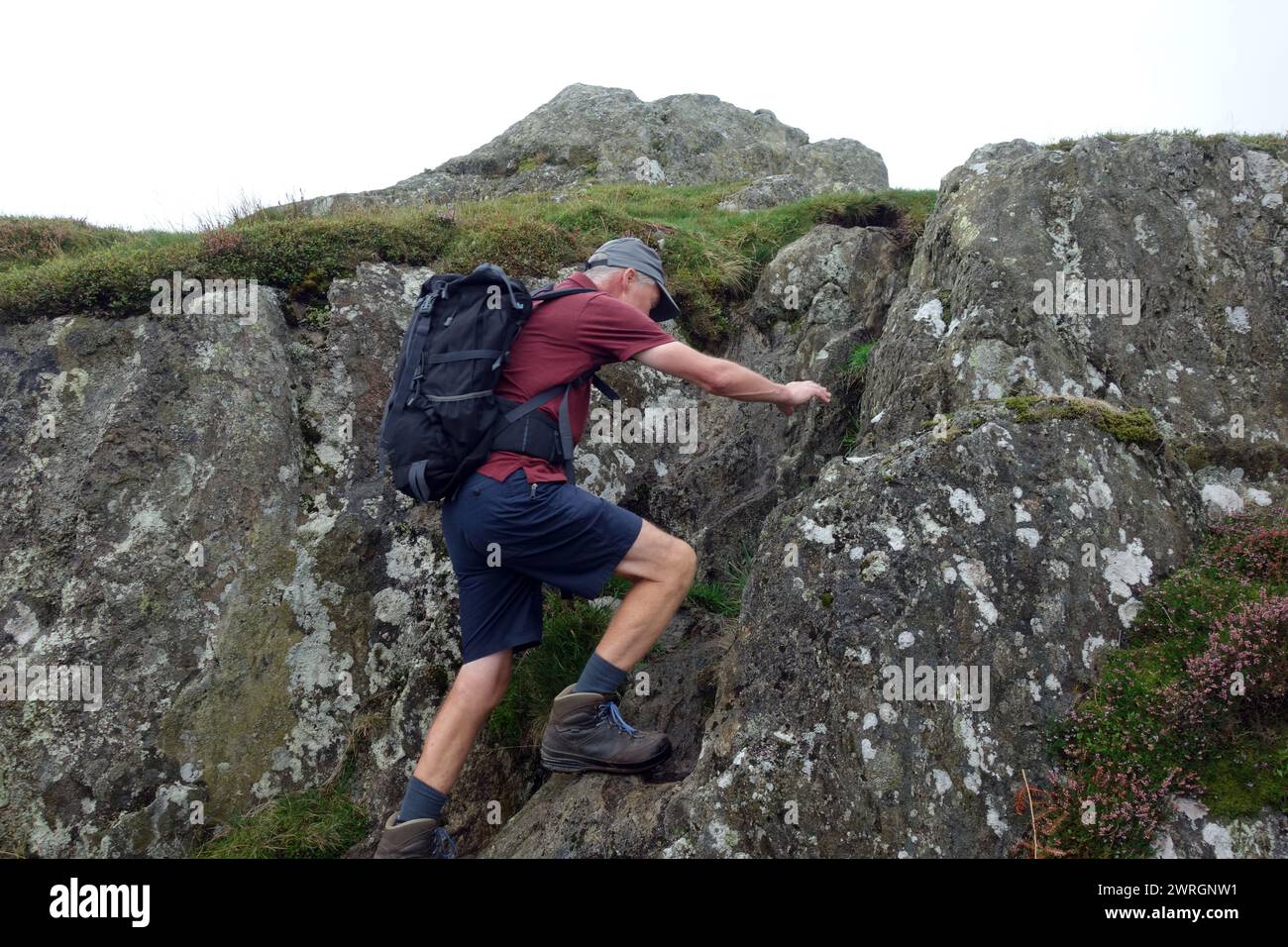 Mann (Wanderer) in Shorts mit Rucksack Climbing a Rocks on the Wainwright „Arnison Crag“ in Patterdale, Lake District National Park, Cumbria, England, Großbritannien Stockfoto