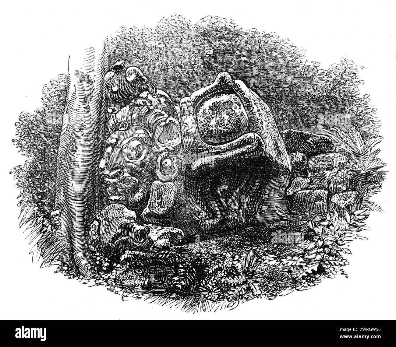 Die Ruinen von Copan, Zentralamerika: Ein Kopf, mit anderen skulpturalen Steinen, 1864. Kupferstich von einem Foto von Mr. Osbert Salvin. Wo die Ruinen stehen... öffnet sich das Tal in eine kleine Schwemmebene von großer Fruchtbarkeit. Überall, wo die Vegetation unberührt geblieben ist, wächst Wald. Es wäre schwierig zu bestimmen, wie weit sich die Ruinen im Tal erstrecken. während man die ganze Straße entlang von Skulpturen sehen kann, die zu dem Punkt führen, der scheinbar der zentrale Punkt der Ruinen zu sein scheint... zeigen die Eingeborenen in den Hügeln auf einen bemalten Stein hier und einen geschnitzten Stein dort. Die Ruine Stockfoto